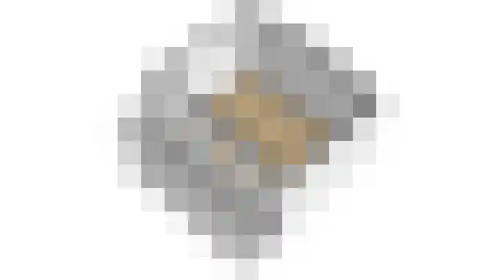 Buren 23 Longerhouw thumbnail 79