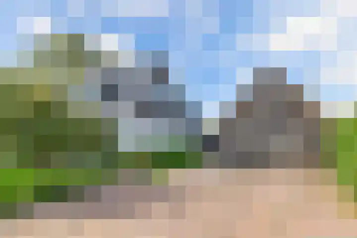 Buren 23 Longerhouw thumbnail 8