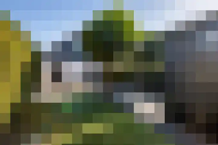 Buren 27 Makkum thumbnail 18