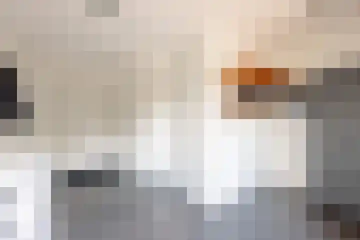 Buren 27 Makkum thumbnail 22