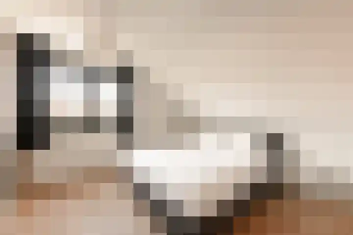 Buren 27 Makkum thumbnail 27