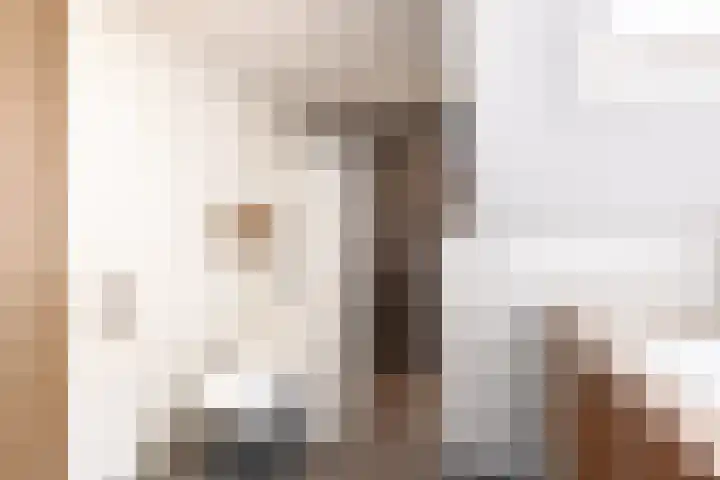 Buren 27 Makkum thumbnail 32