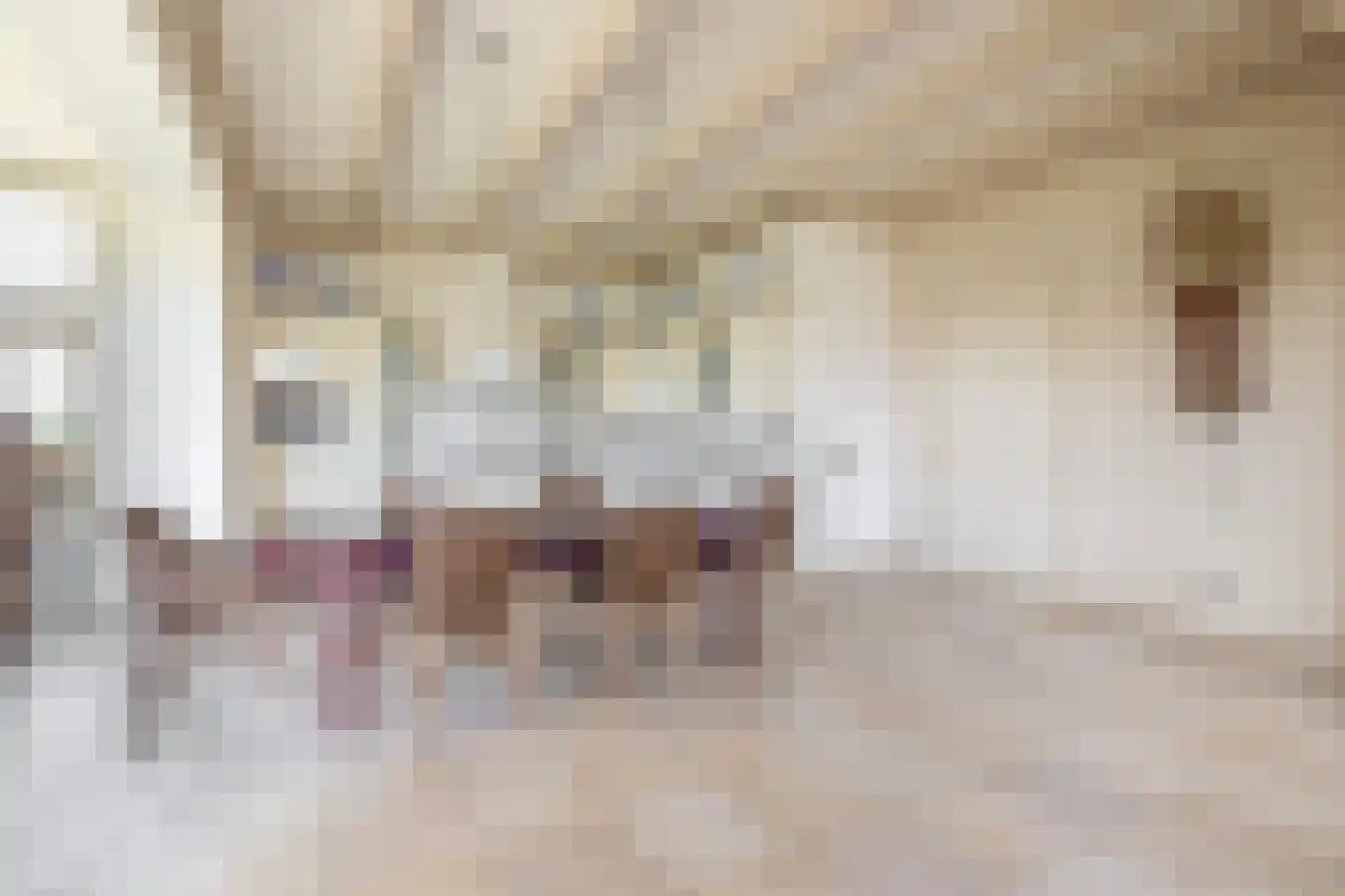 Buren 27 Oosterzee thumbnail 13