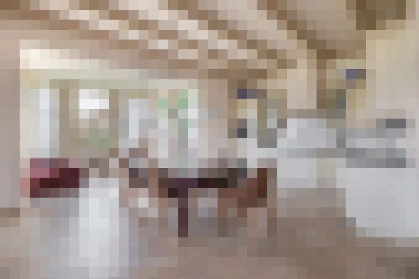 Buren 27 Oosterzee thumbnail 14