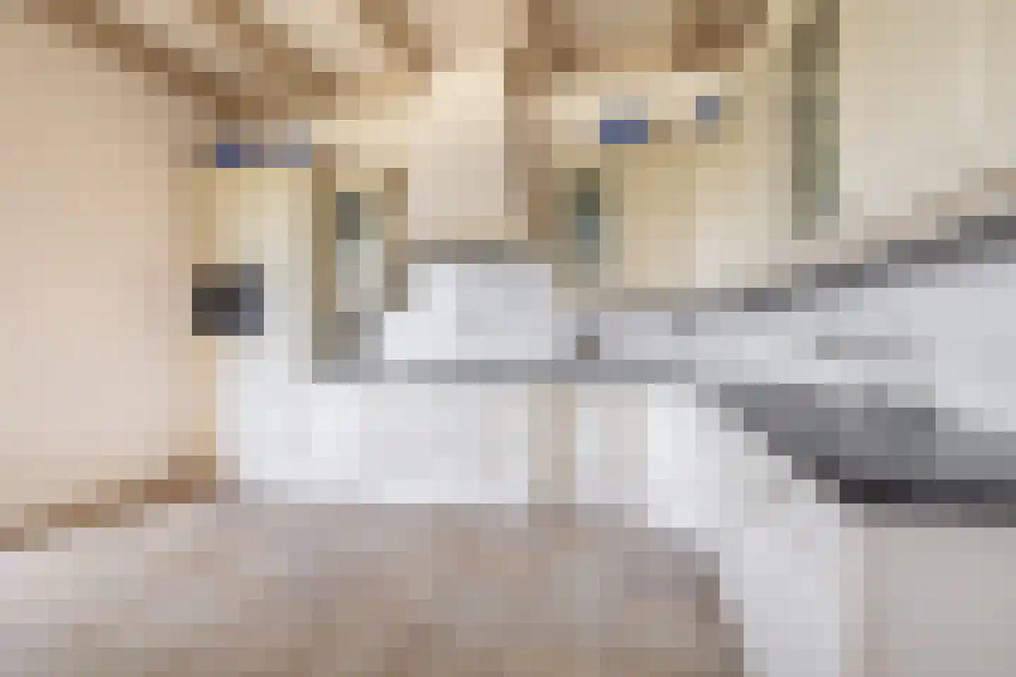 Buren 27 Oosterzee thumbnail 15