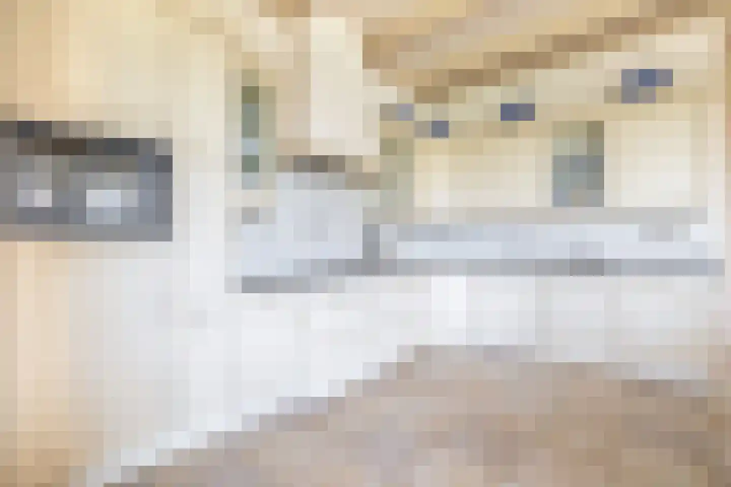Buren 27 Oosterzee thumbnail 16