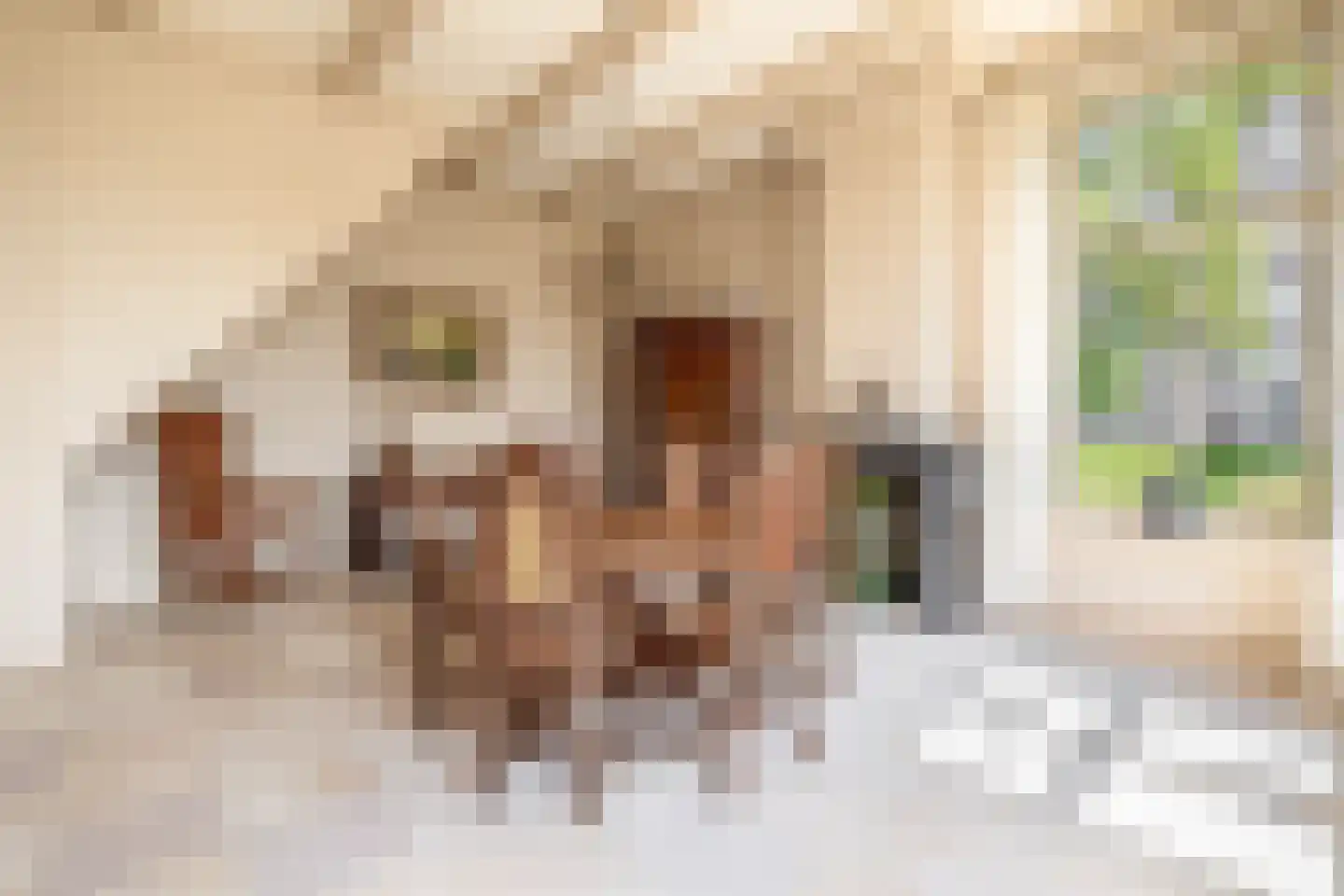 Buren 27 Oosterzee thumbnail 20