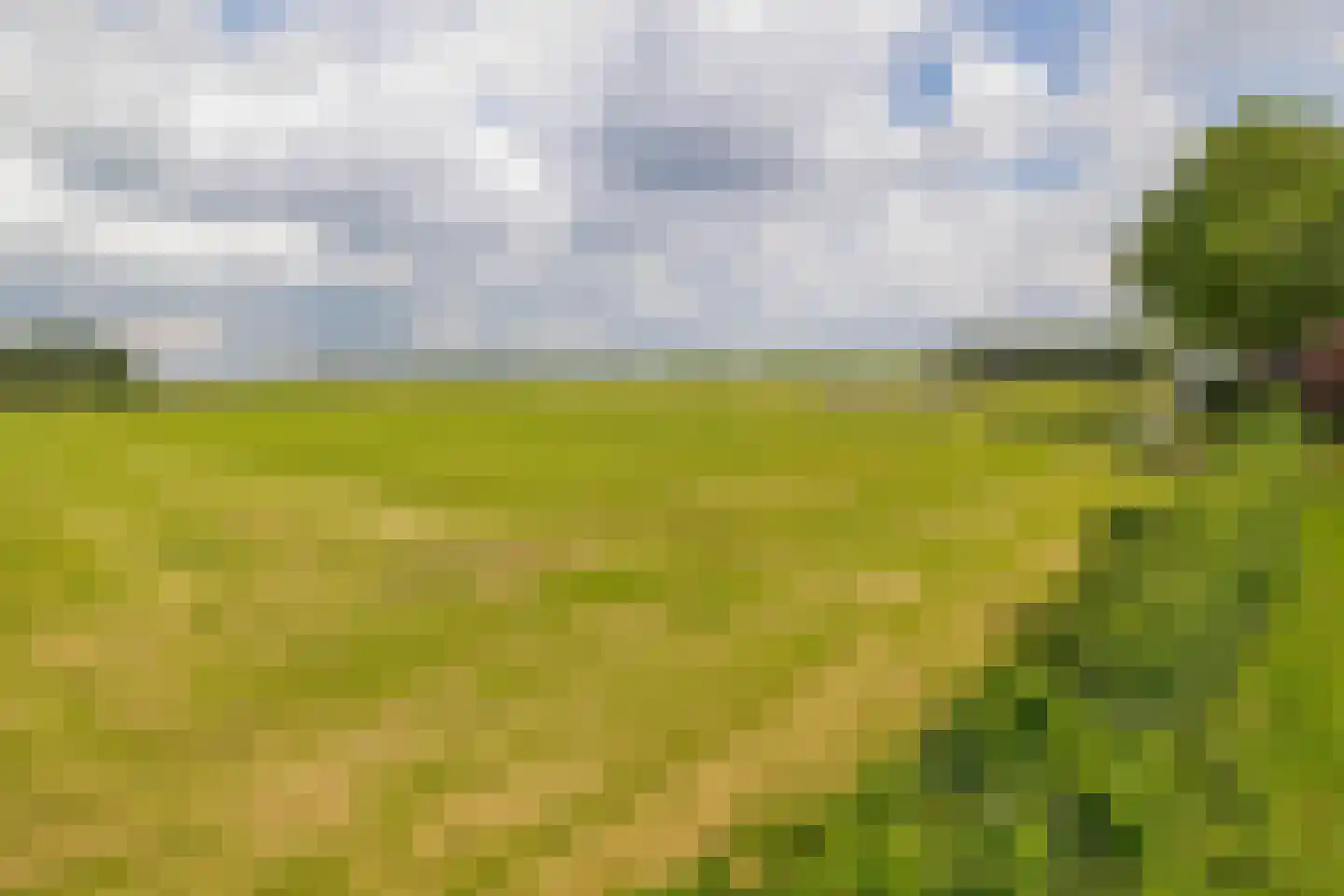 Buren 27 Oosterzee thumbnail 58