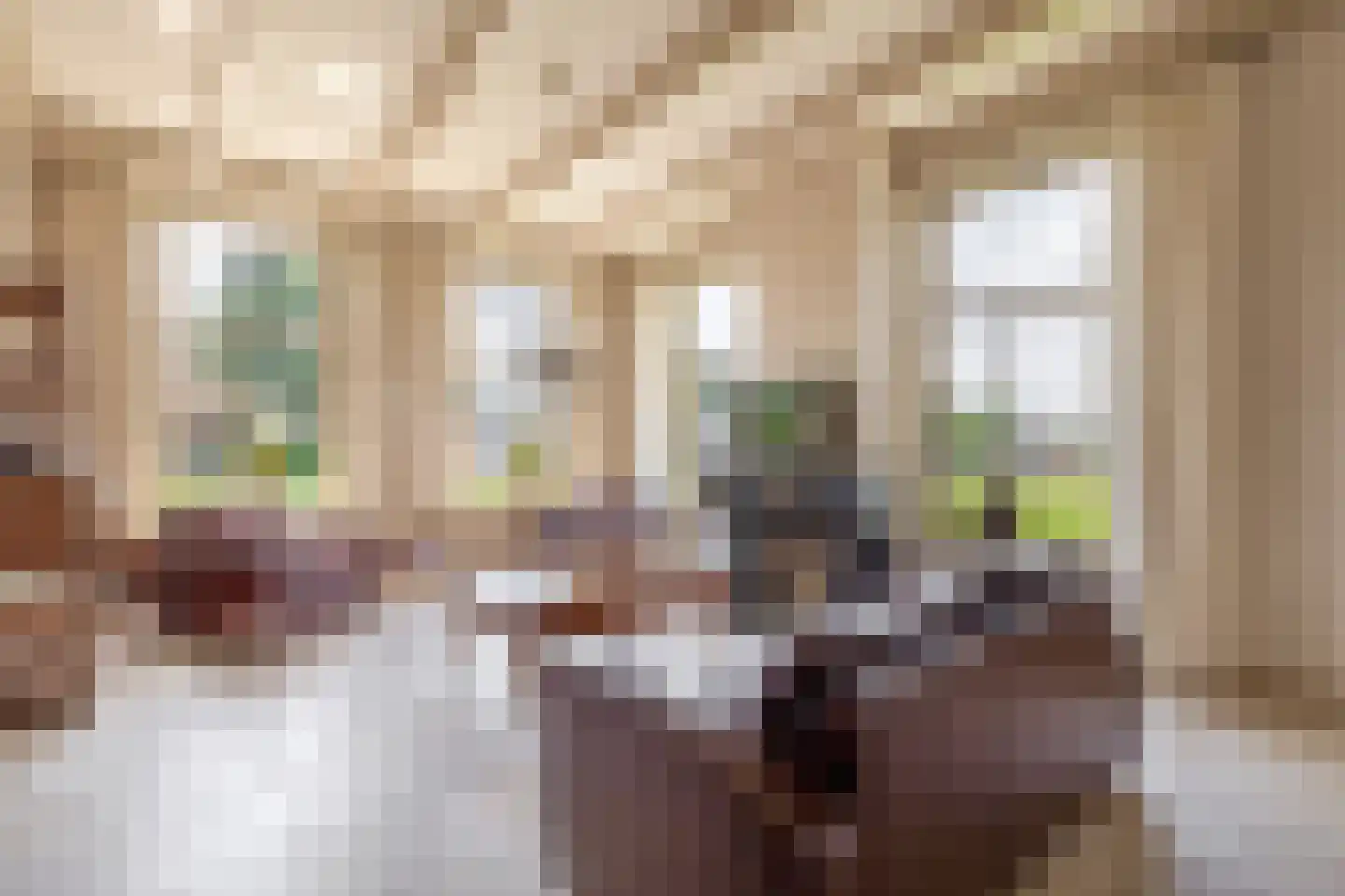 Buren 27 Oosterzee thumbnail 8