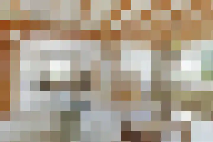 Buren 4 Ferwoude thumbnail 11