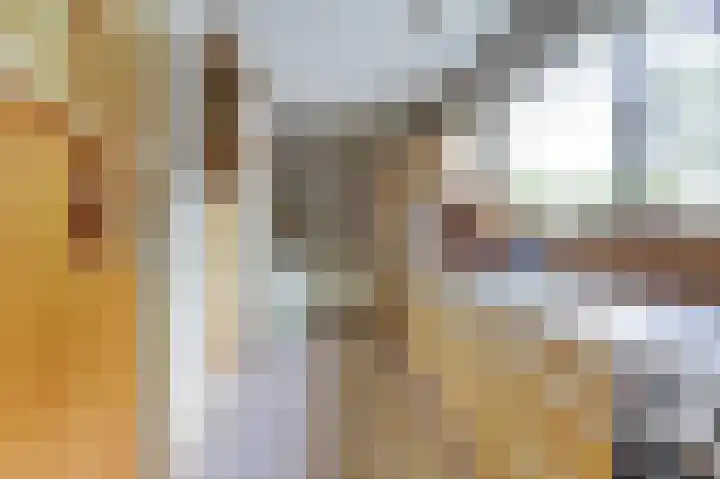 Buren 4 Ferwoude thumbnail 12