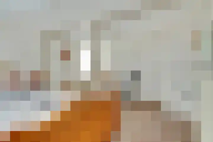 Buren 4 Ferwoude thumbnail 15