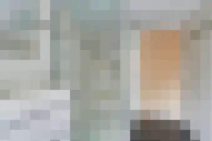 Buren 4 Ferwoude thumbnail 19