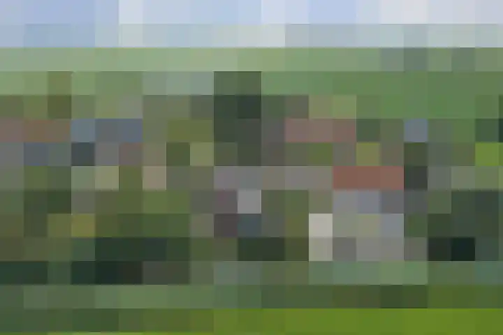 Buren 4 Ferwoude foto 2