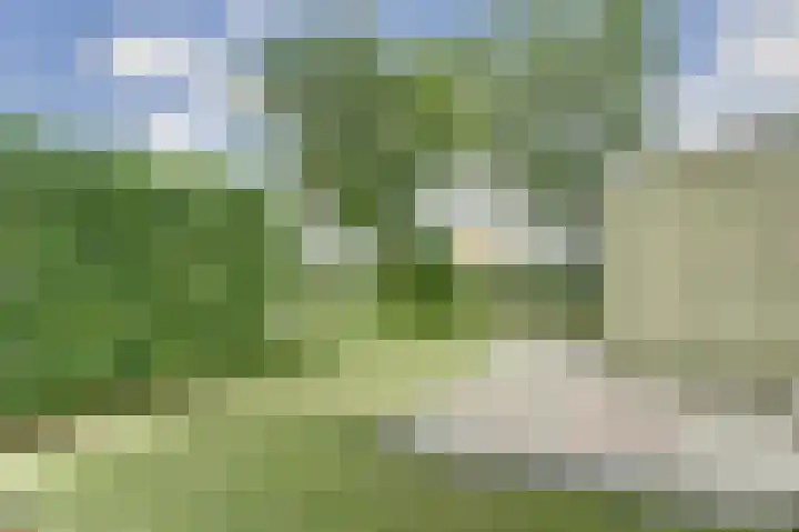 Buren 4 Ferwoude thumbnail 22