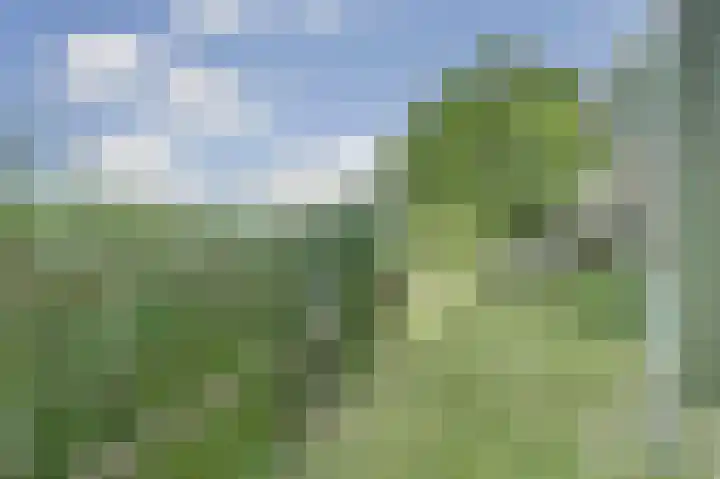 Buren 4 Ferwoude thumbnail 24