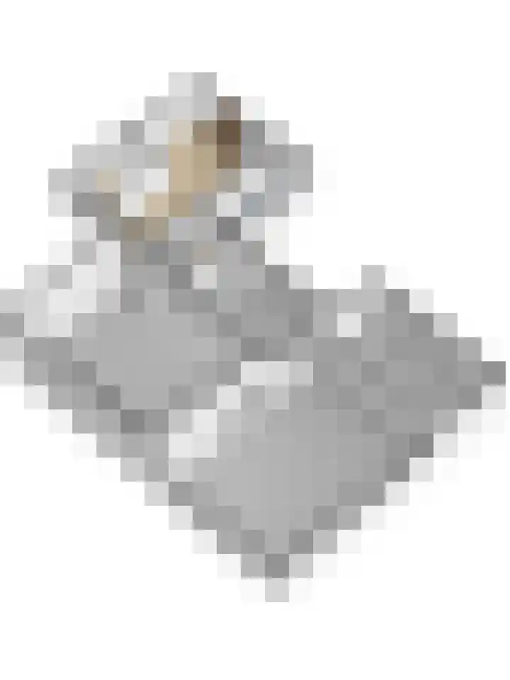Buren 4 Ferwoude thumbnail 28