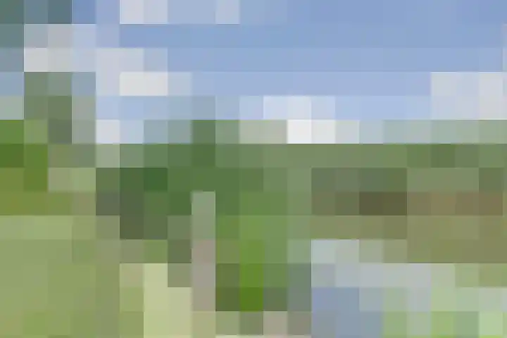 Buren 4 Ferwoude thumbnail 4