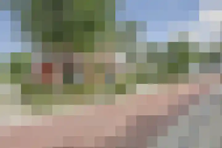 Buren 4 Ferwoude thumbnail 6
