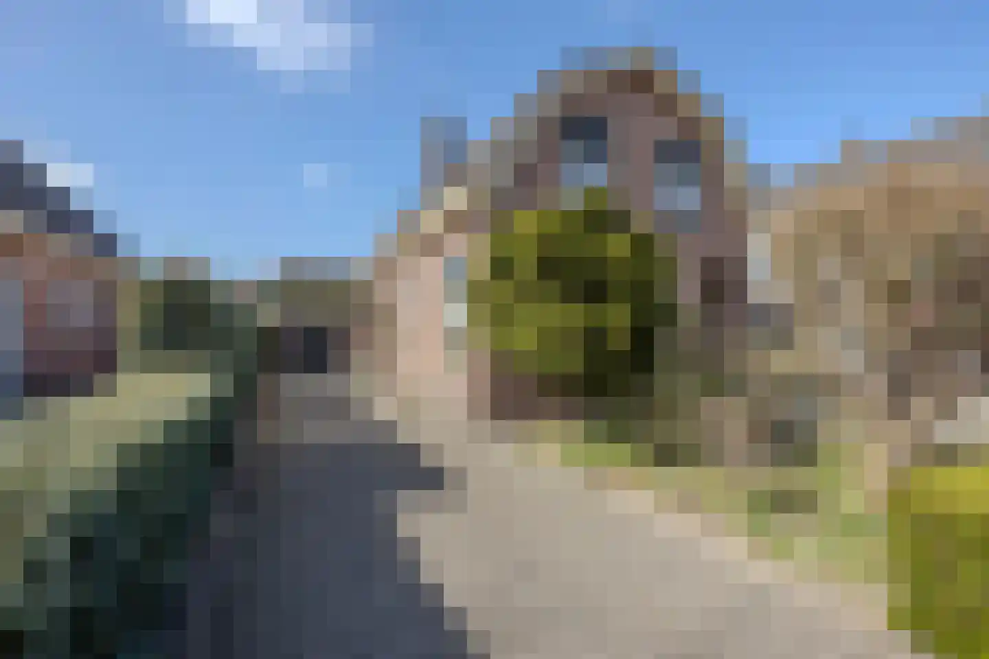 Burg.Backxlaan 295 in Nieuwleusen