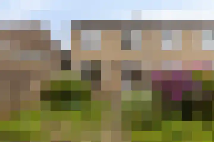 Burg Jasparstraat 11 Elsloo thumbnail 5