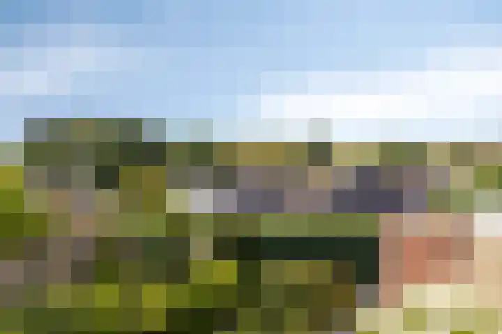 Burg. Mannensstraat 11 Nuth thumbnail 28