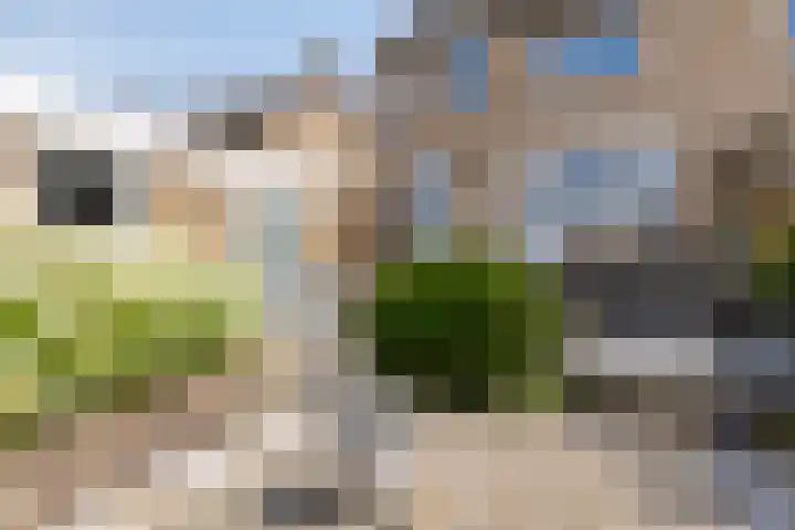 Burg. Mannensstraat 11 Nuth thumbnail 29