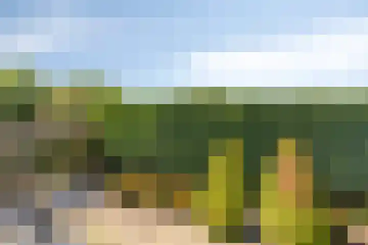 Burg. Mannensstraat 11 Nuth thumbnail 30