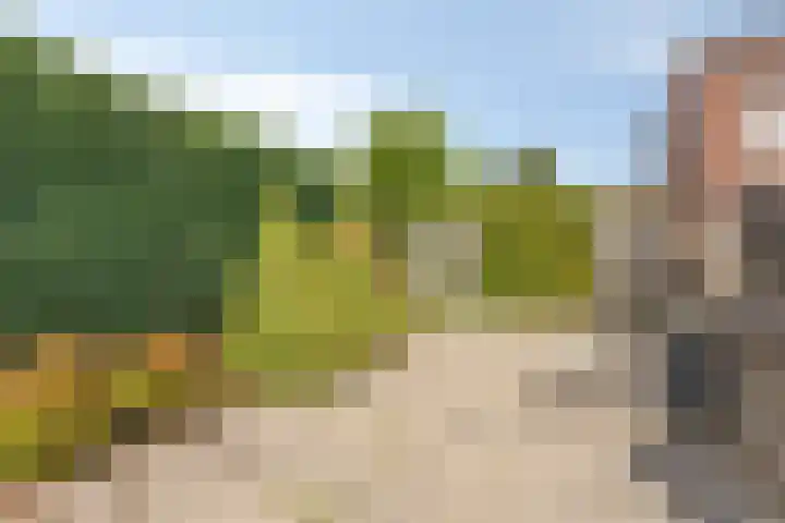 Burg. Mannensstraat 11 Nuth thumbnail 31