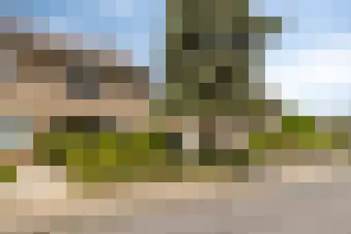 Burg. Mannensstraat 11 Nuth thumbnail 40