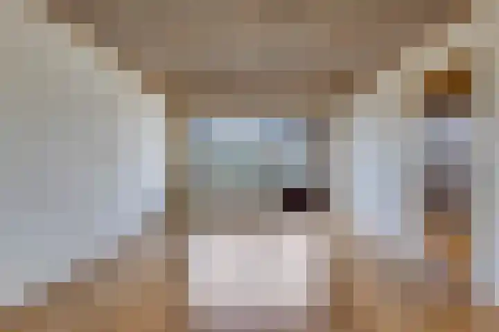 Burg. Mannensstraat 11 Nuth thumbnail 9