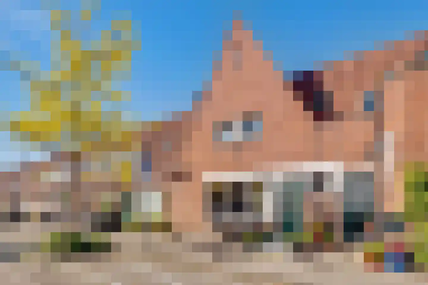 Burgemeester de Kievietstraat 85 dans Diemen