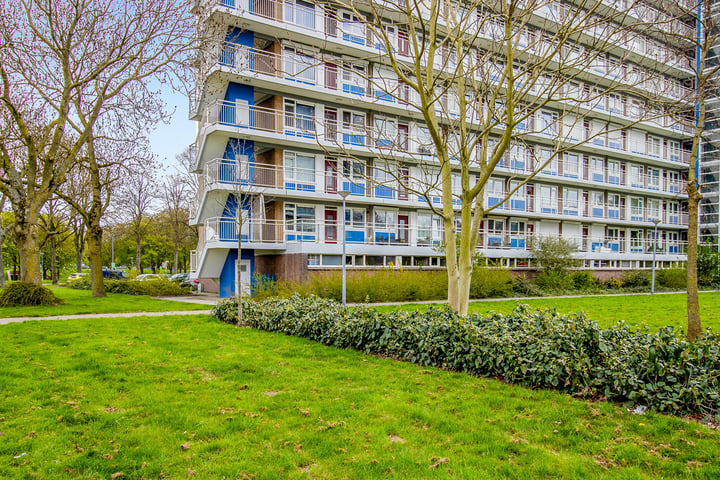 Burgemeester Hazenberglaan 43 in Rotterdam foto