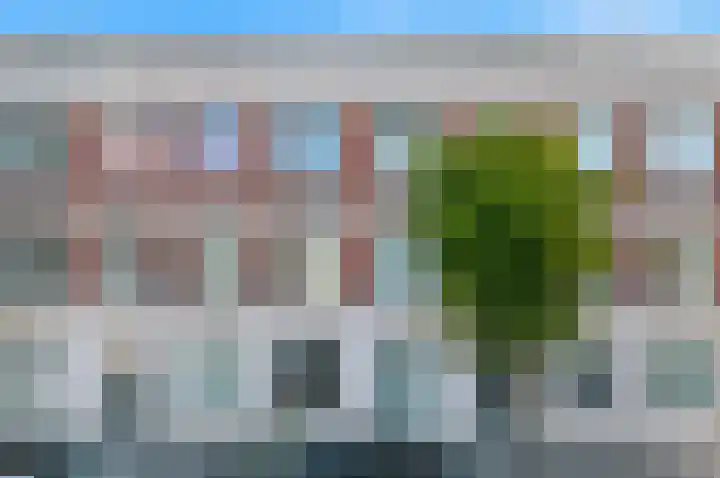 Burgemeester Kolfschotenlaan 29 dans Den Haag