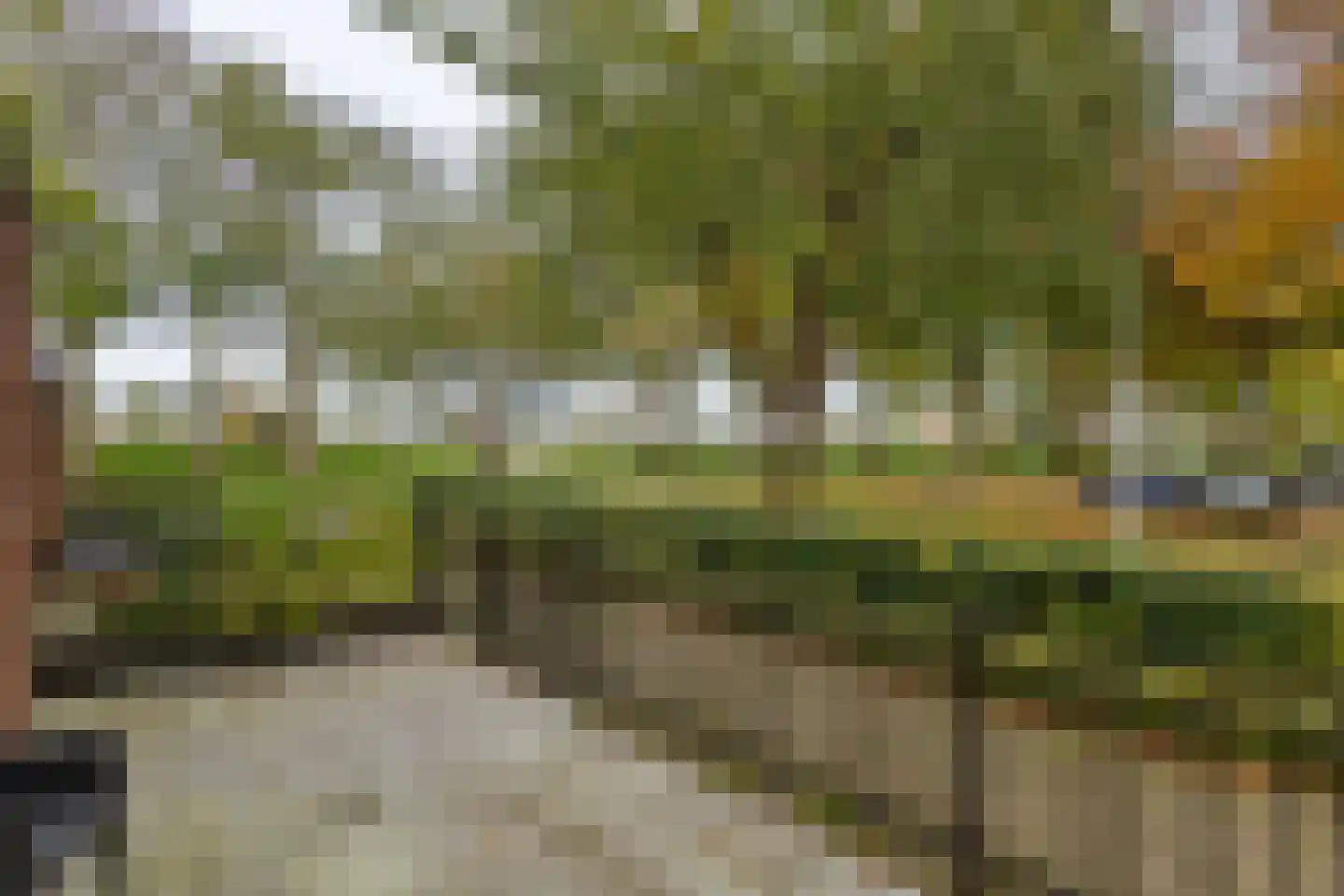 Burgemeester Schefferstraat 2 Arkel thumbnail 5