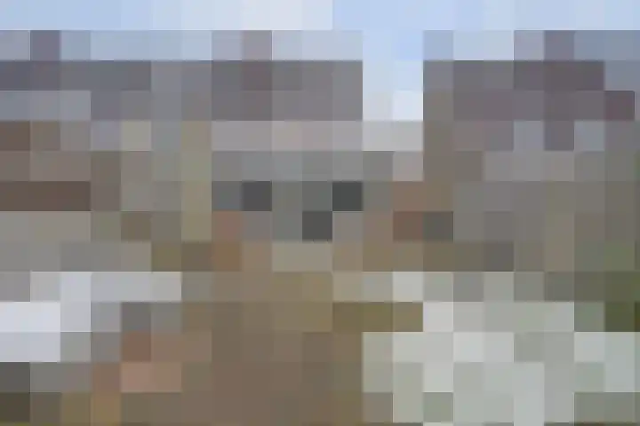 Team foto van BURGERSDIJK MAKELAARS