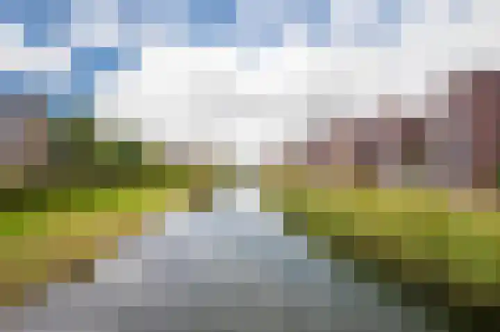 Burgerwaard 63 Arnhem thumbnail 36