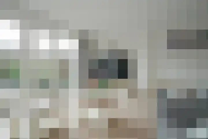 Burgerzinstraat 11 Breda thumbnail 13