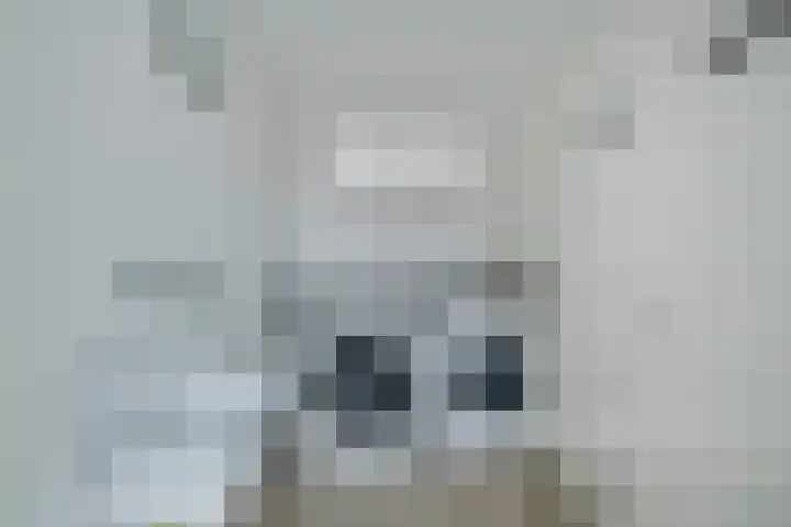 Burgerzinstraat 11 Breda thumbnail 30