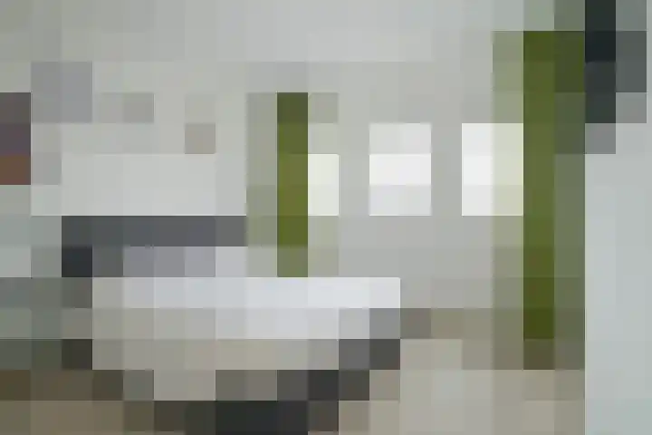 Burgerzinstraat 11 Breda thumbnail 4