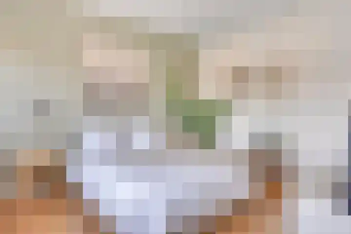 Burgerzinstraat 31 Breda thumbnail 21