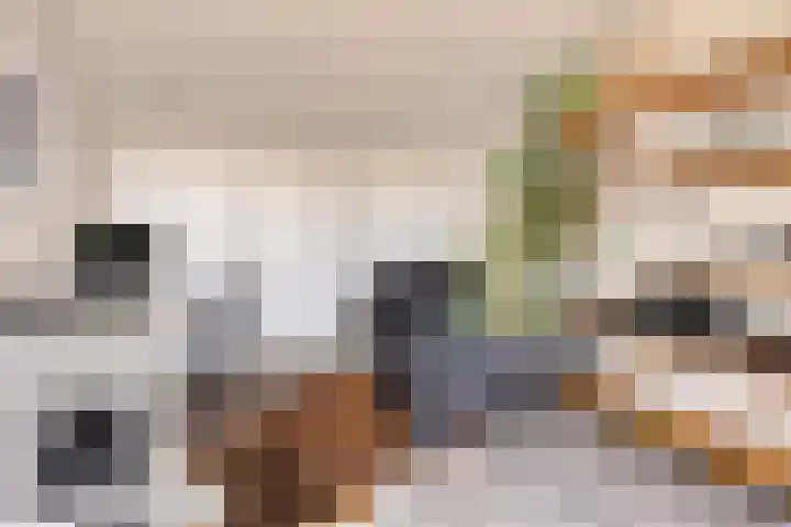 Burgerzinstraat 31 Breda thumbnail 33