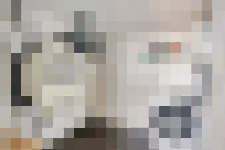 Burgerzinstraat 31 Breda thumbnail 35
