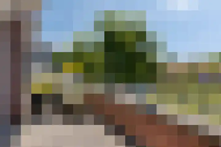 Burgerzinstraat 31 Breda thumbnail 36