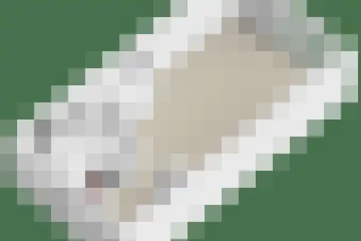 Burgerzinstraat 31 Breda thumbnail 43