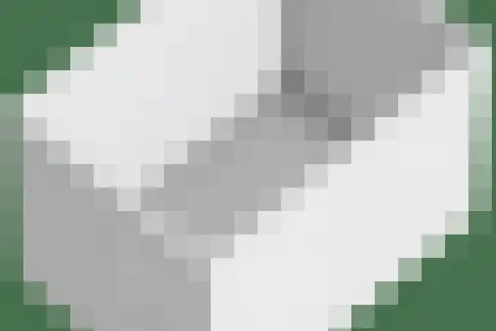 Burgerzinstraat 31 Breda thumbnail 46