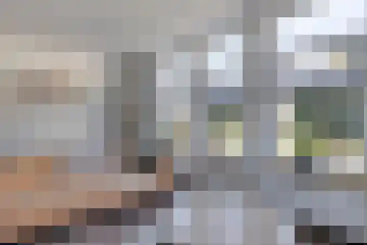 Burggraaf 1 Vierlingsbeek thumbnail 12