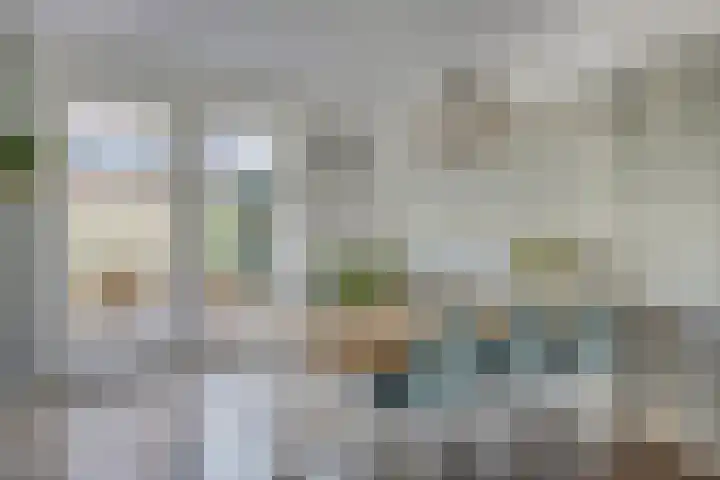 Burggraaf 1 Vierlingsbeek thumbnail 14