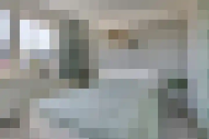 Burggraaf 1 Vierlingsbeek thumbnail 21