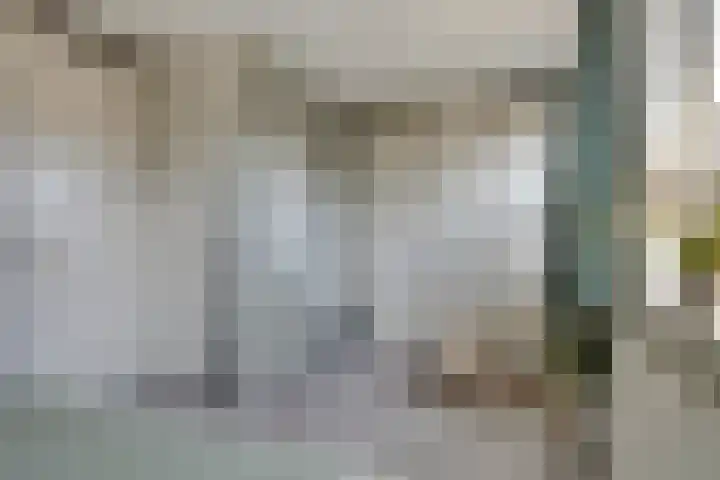 Burggraaf 1 Vierlingsbeek thumbnail 22